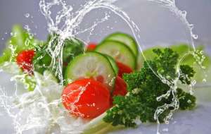 fitness nutrition fitness nutrition